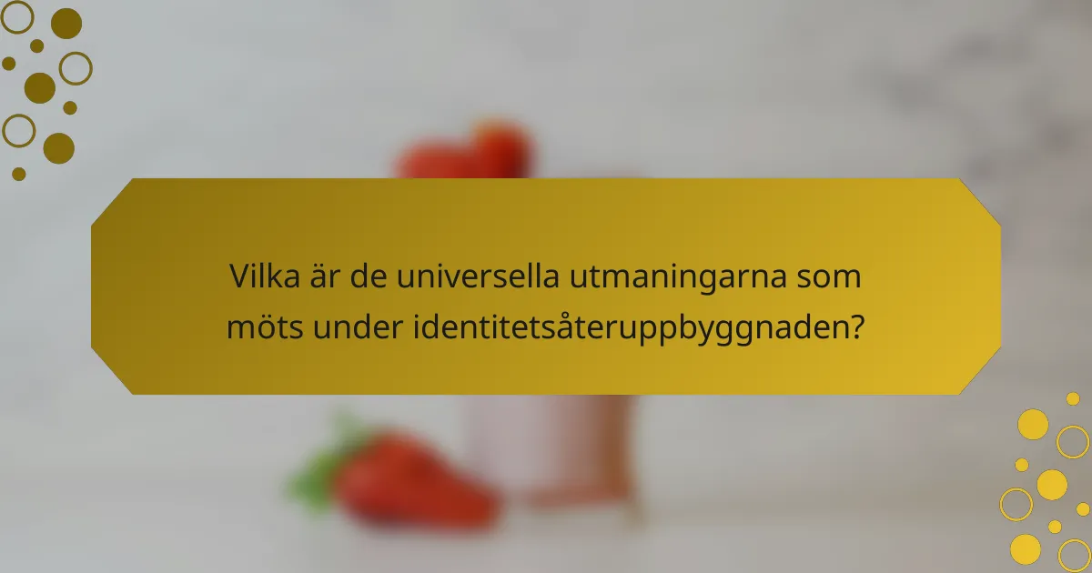 Vilka är de universella utmaningarna som möts under identitetsåteruppbyggnaden?